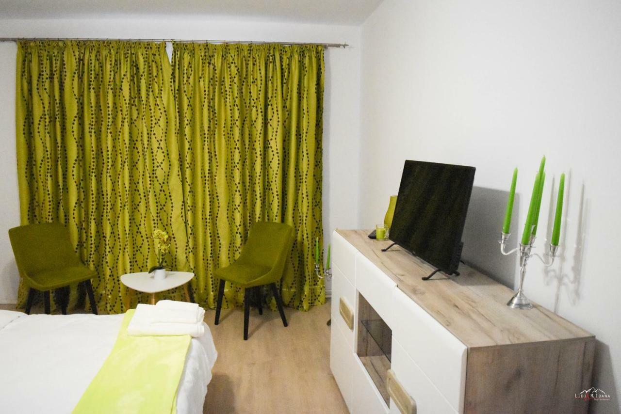 Spacious And Cozy 3bd+terrace Couples Apartment Timişoara